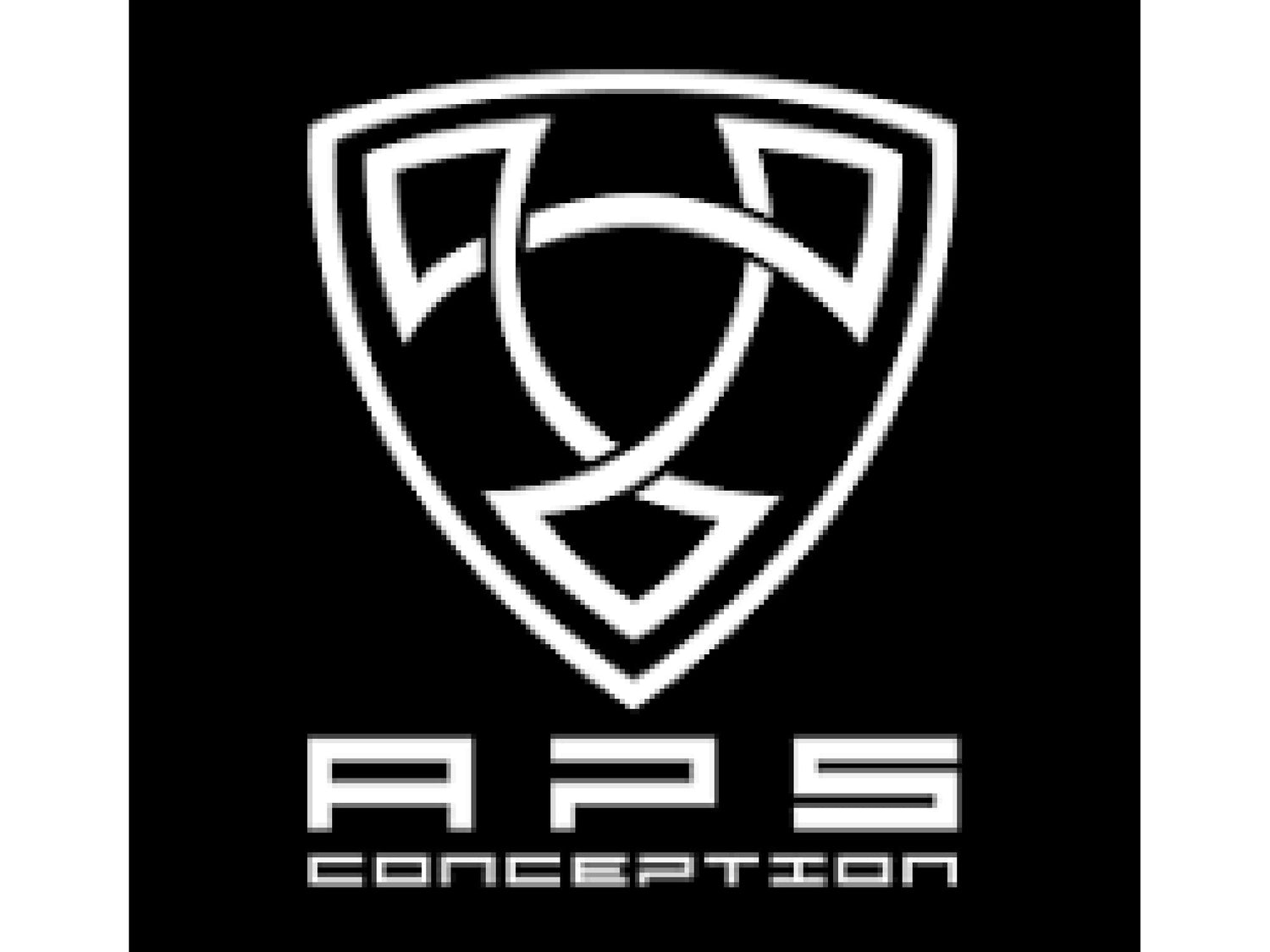 APS AIRSOFT